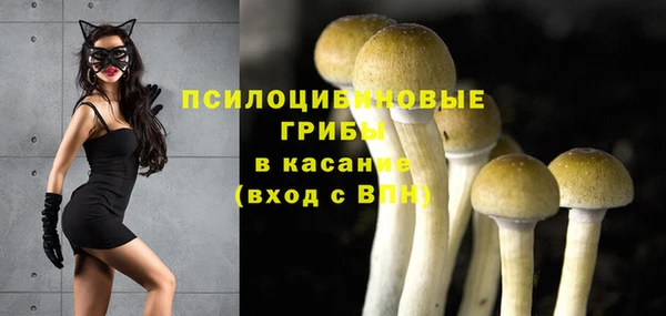 ПСИЛОЦИБИНОВЫЕ ГРИБЫ Алзамай