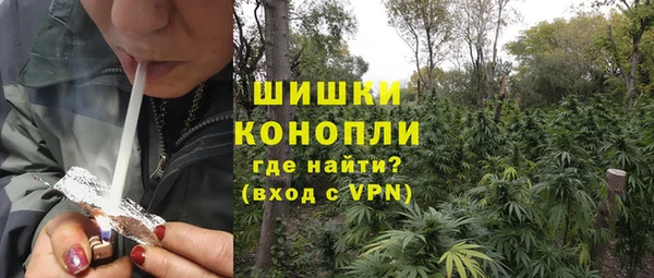 амф Арсеньев