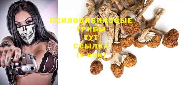 амф Арсеньев