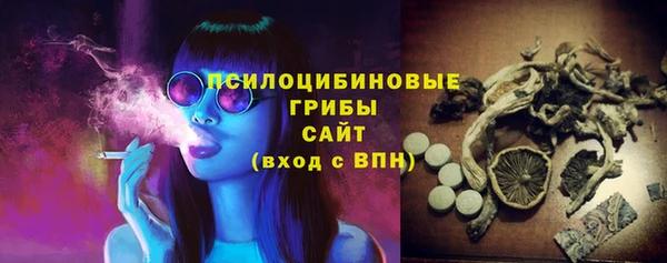 ПСИЛОЦИБИНОВЫЕ ГРИБЫ Алзамай