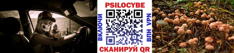 Галлюциногенные грибы Magic Shrooms  купить наркотик  ссылка на мегу ССЫЛКА  Гурьевск 